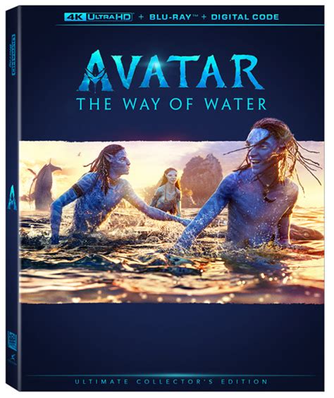 avatar: the way of water dvd|Avatar: The Way of Water 4K Collectors Edition (4K Ultra HD